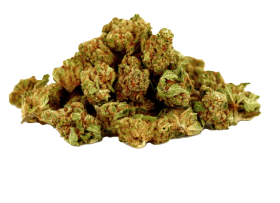 FLEURS CBD PREMIUM PUISSANCE MAX 🤯💥