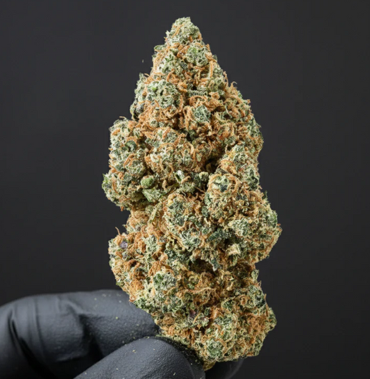 Pacific Dream D9 – Édition Limité – CBD EXTRÊME 💥(+++)