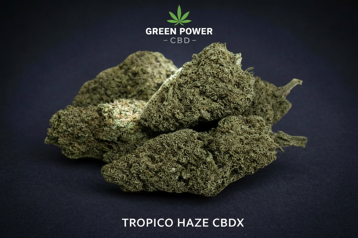 đŽ FLEURS :TROPICO Haze Indoor CBD NL-1 - 12,5% â CBD PUISSANTđ(++)