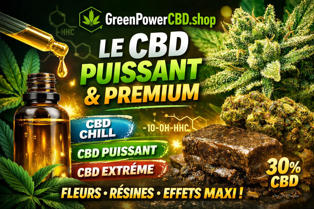 Découvrez les Produits Exclusifs de GreenPowerCBD.shop⭐