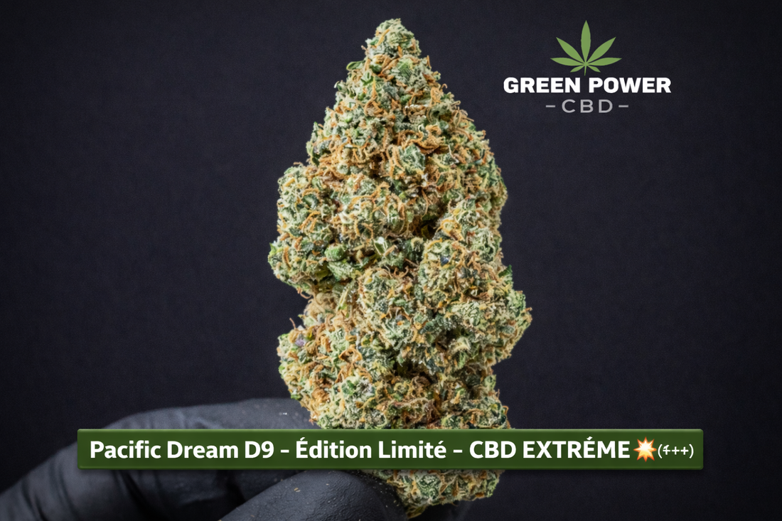 🌴 Pacific Dream D9 – Edition Limitée CBD EXTRÊME : Guide complet 2026 – greenpowercbd.shop