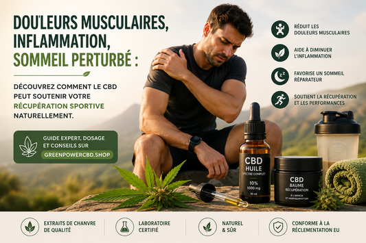 CBD et sport : récupération naturelle après l'effort — guide 2026