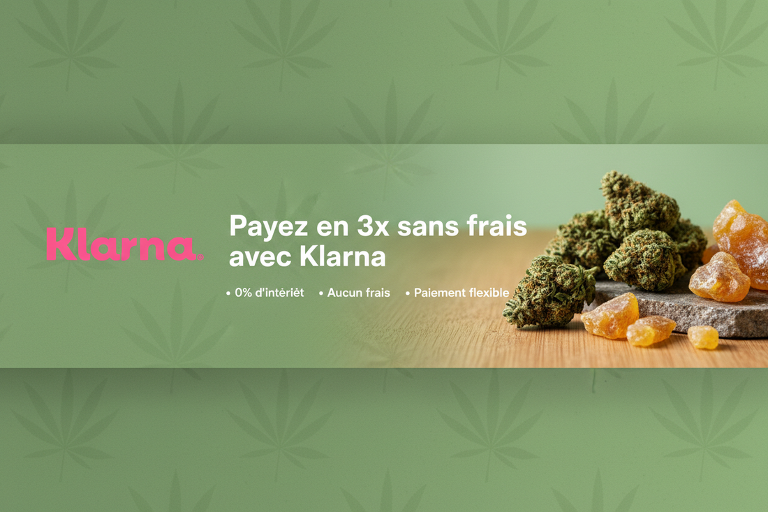 Fleur CBD ou résine CBD : quelles différences et comment choisir en 2026 ?
