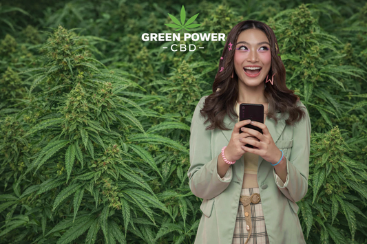 CBD et bien-être : comment le cannabidiol puissant transforme votre qualité de vie au quotidien