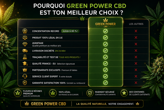 Comment reconnaître une fleur CBD de qualité ? Le guide complet 2026
