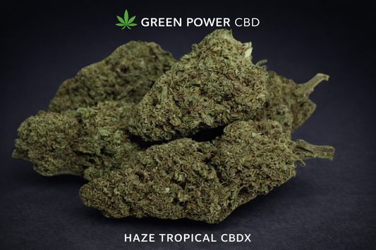 🌴 FLEURS : Haze TROPICAL Indoor CBDX NL-1 - 12,5% – CBD PUISSANT🚀(++)