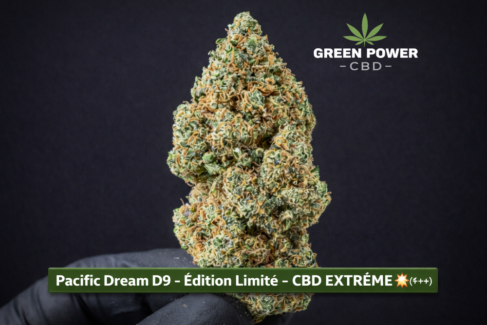 Fleur CBD premium Pacific Dream Green Power CBD