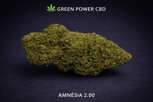 Amnésia 2.00 – CBD Chill(+)