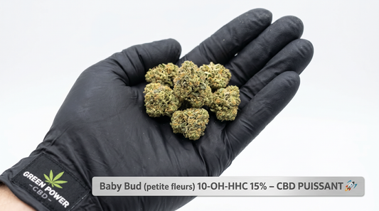 Baby Bud (petites fleurs) 10-OH-HHC 15% – CBD PUISSANT🚀(++)
