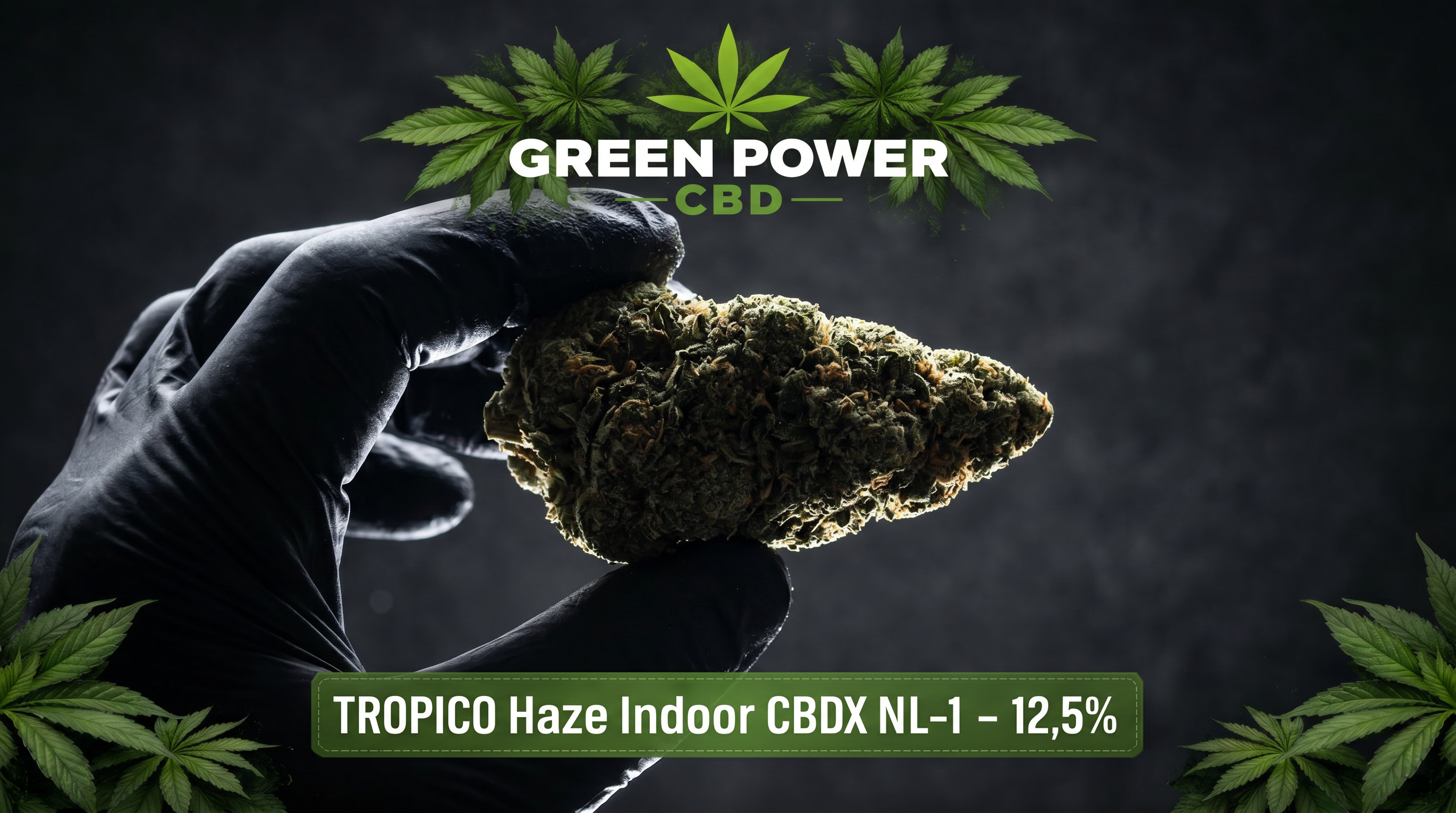 Infographie présentant les recommandations de dosage progressif du CBD