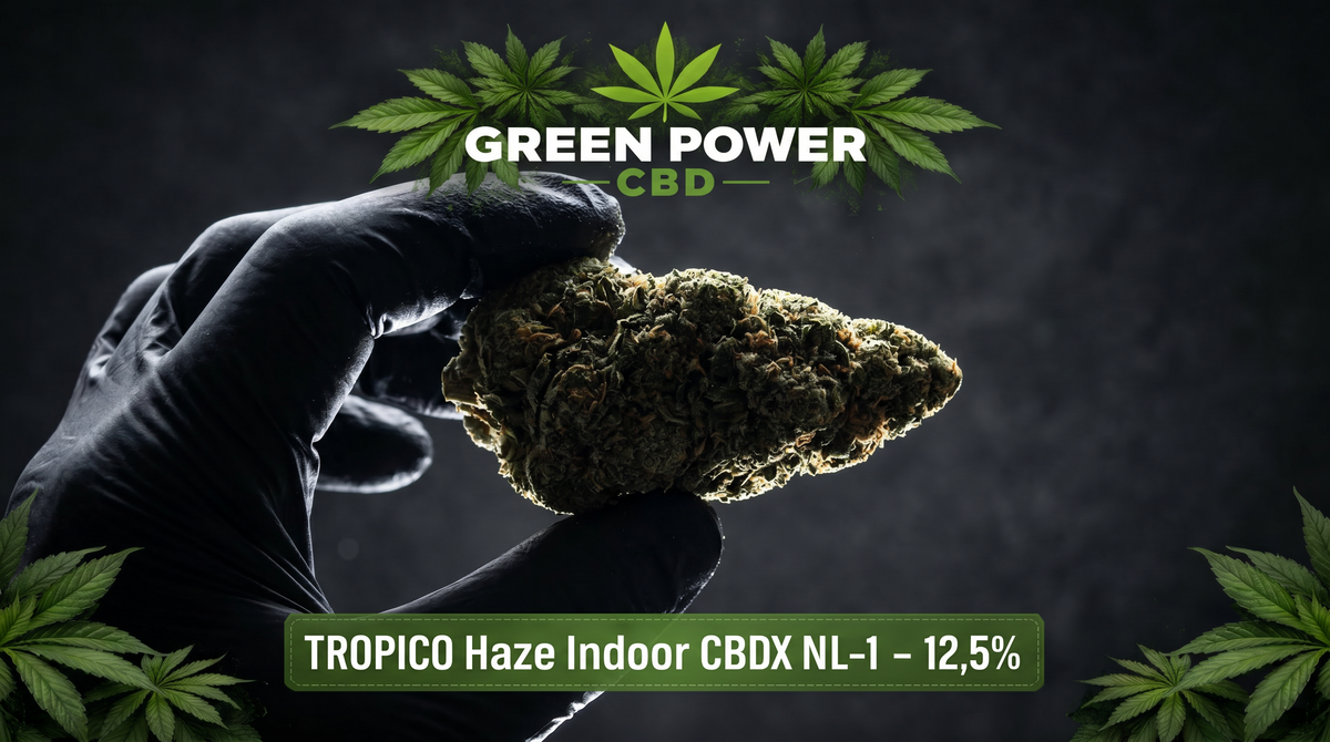 Fleur CBD premium Green Power CBD